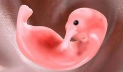 子宫内膜薄怀孕症状揭秘！应对措施在这里！