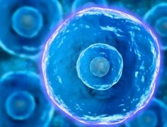 输卵管积水中的“水”是咋来的？对试管有啥影响？