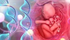 ‌南昌私立试管机构精选，2023年试管费用一览无余