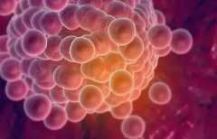 孕34周要不要空腹检查？检查项目大盘点！