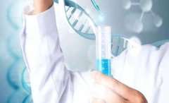 河北试管服务深度剖析：专业团队，先进设备，助您好孕
