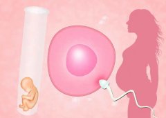 怀女孩真的可以通过孕初期怕酸来判断？准确度如何？