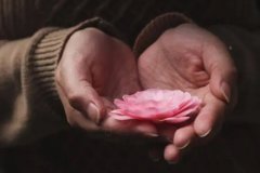 银川三代试管医院稀缺资源大揭秘，究竟哪些医院能够胜任？仅有两家
