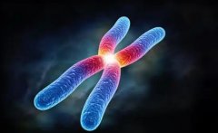 精卵不结合做试管？这些影响因素不可不知，精子活力低上榜