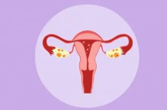 单角子宫合并残角子宫做试管，移植费用大揭秘！