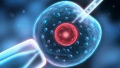 探寻广东私立试管机构：爱维艾夫医院试管费用知多少？