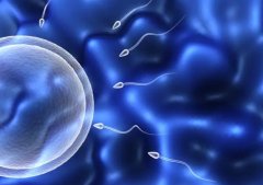 三代试管，你符合这些情况了吗？移植试管婴儿因素大揭秘！