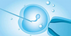 三代试管成功率提升关键点：临床中需重点关注哪些技术环节？