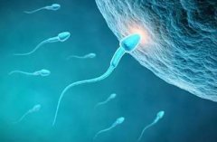 精子成活率低做试管成功率几何？穿刺取精来助力！