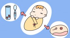 惠州惠城区试管助孕可行性探究：技术与成功率双保障