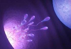 4aa囊胚移植7天，验孕白板就是失败了吗？