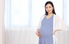 马来西亚试管攻略：一站式服务，助你圆梦！