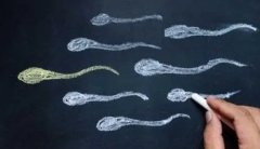 精子向前运动率低至10%，试管生育是否可行？