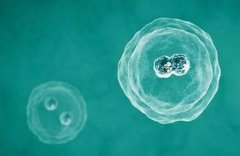 试管婴儿冷冻胚胎移植：科学认知与潜在优势