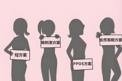 【试管方案】40岁基础卵泡少，试管微刺激和自然周期哪个更好?