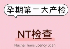 <b>试管孕妈必看！NT检查全攻略：轻松过关，接好孕！</b>