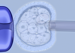 2026吉尔吉斯斯坦三代试管婴儿助孕费用明细