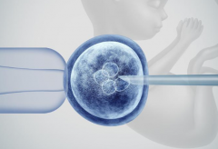 甘肃三代试管婴儿费用解析，含具体费用明细