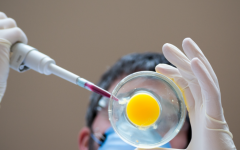 2026年广东广州做试管助孕费用一览，附详细费用明细