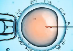 2026年南宁私立机构辅助生育费用深度解析