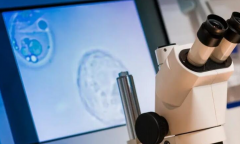 2026年福建省妇幼保健院允许单身人士做试管吗？