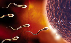 2026年单身女性在中山大学附属第五医院做试管多少钱？费用参考如下