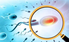 2026西安三代试管婴儿医院推荐：私立助孕机构排名&成功率解析