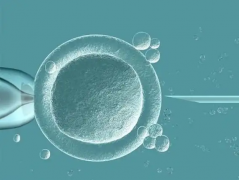 自贡2026年第三代试管婴儿手术费用明细