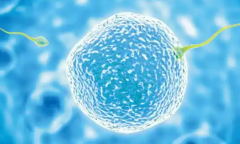 2026上海试管婴儿费用拆解：总花费多少？项目清单如下