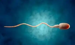 河南省郑州三代试管婴儿助孕要多少费用？2026年费用介绍