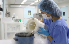 2026年合肥市做三代试管能包成功吗？真实流程与必须注意的事项