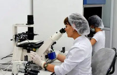 广东省肇庆市十大正规助孕机构收费价格表2026