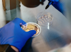 2026年金华市第三代试管婴儿费用标准正式发布（含各阶段明细）