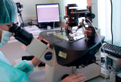 广东省二院单身人士做试管成功率怎么样？