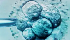 2026年石家庄排名前十的助孕机构收费一览表