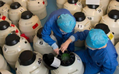 想在济南找私立试管婴儿医院，热门榜单参考