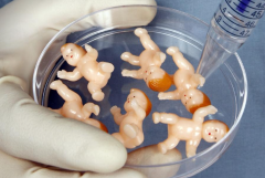 江苏进行三代试管婴儿治疗的整体价格明细表一览