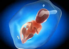 深圳2026年第三代试管婴儿手术费用一览，具体费用明细