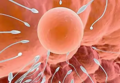 2026常德市优质私立医院名单公布：七家机构可开展三代试管婴儿