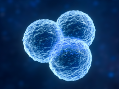 河北石家庄三代试管技术最好的私人医院排名，优质医院介绍