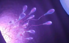 2026沈阳做试管婴儿三代费用一览