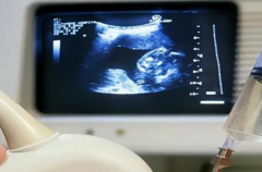 长春试管婴儿医院哪家好？2026长春市私人助孕中心成功率排名参考