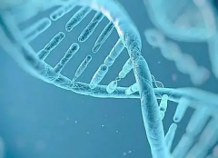 2026湖北武汉第三代试管婴儿助孕生孩子价格表，含医院排行