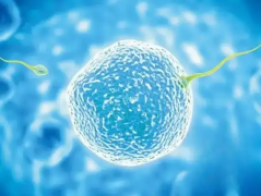 海外哪些助孕机构提供试管婴儿包怀孕方案？