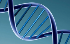 2026北京第三代试管婴儿(高端)私立医院排行榜前十名