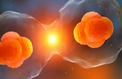 广州做第三代试管婴儿技术哪家医院实力强？四大知名医院介绍