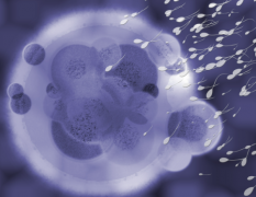 2026哈尔滨三代试管婴儿费用需要多少钱？