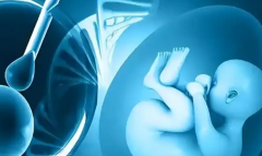 2026年在安阳做第三代试管婴儿生孩子的整体费用大概有多少？