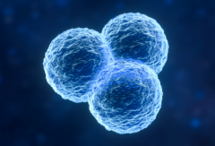 2026年度公布俄罗斯三代试管婴儿收费标准，包含8大项