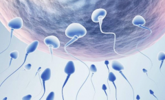 陕西做三代试管婴儿大概多少钱？2026年西安三代试管总费用预估8-15万